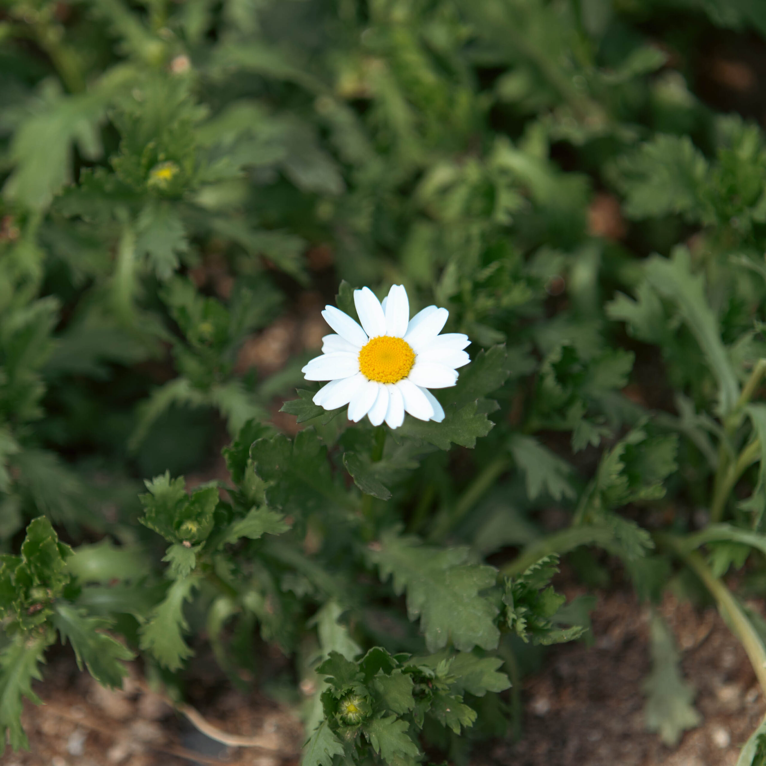 카메라와 함께한 추억